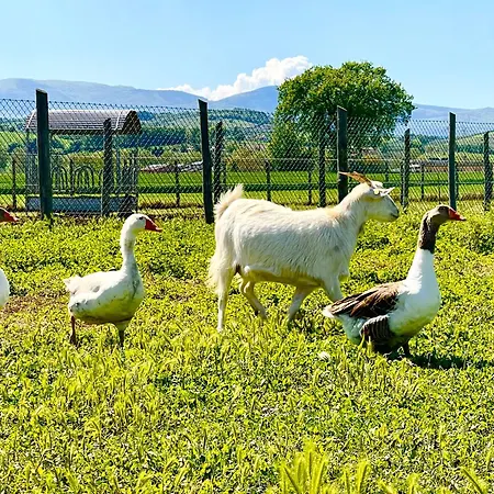 Casale Rotoloni * Protte