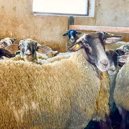 Casale Rotoloni * Protte