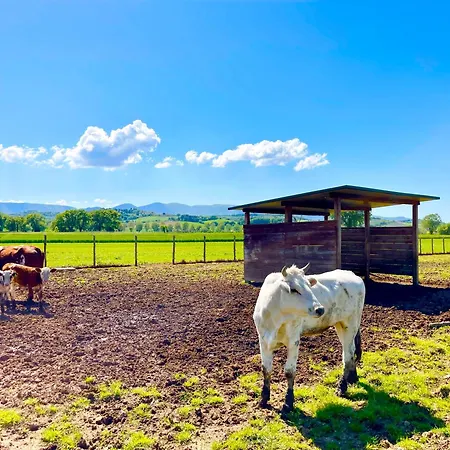 Casale Rotoloni Agroturismo