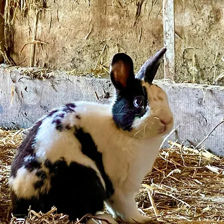 Séjour à la ferme Casale Rotoloni *